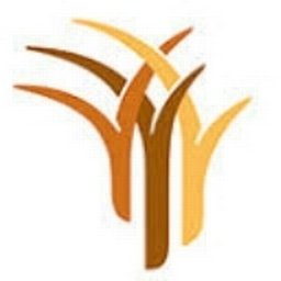 Company logo DBSA