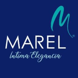 Logotipo de la empresa MAREL DE MEXICO
