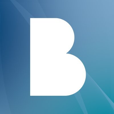 Company logo Roland Berger