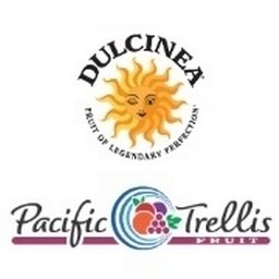 Company logo Dulcinea
