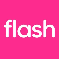 Company logo Flash