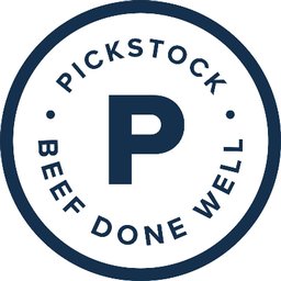 Company logo Pickstock Telford
