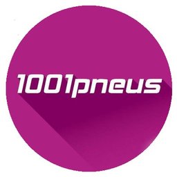 Logo de l'entreprise 1001pneus