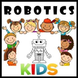 Logo de l'entreprise Robotics Kids Academy