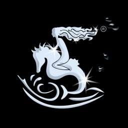 Company logo Nereids Aquatic Coaching