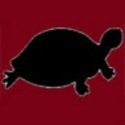Company logo Black Turtle