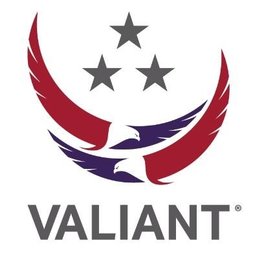 कंपनी का लोगो Valiant Systems