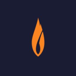 Company logo Flashpoint