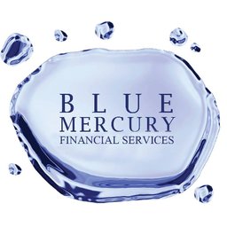 Company logo Blue Mercury Financial Services