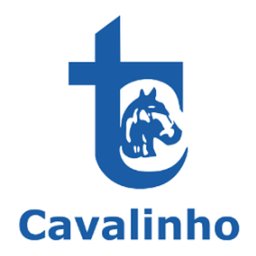Company logo Transportes Cavalinho Ltda