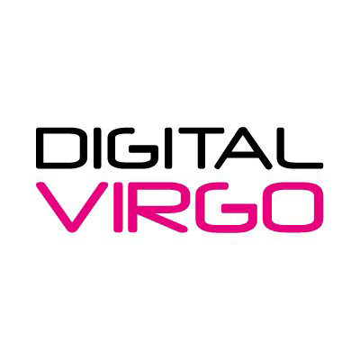Logo de l'entreprise Digital Virgo