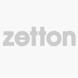 Company logo ZETTON,INC.
