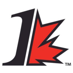 Company logo First Canadian Financial Group