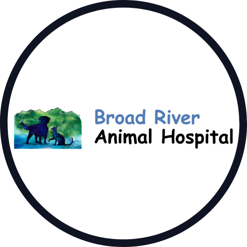 Company logo Broad River Animal Hospital
