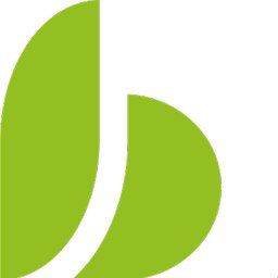 Company logo Blankers Schoon