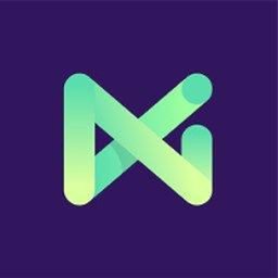 Company logo NMI