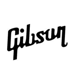 Company logo Gibson Inc
