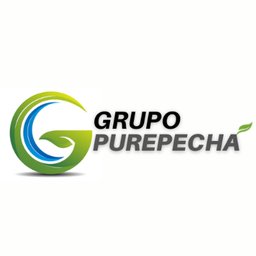 Logotipo de la empresa Grupo Purepecha