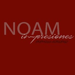 NOAM Logo