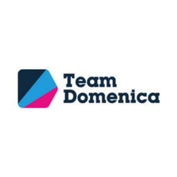 Company logo Team Domenica
