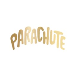 Company logo Parachute Ice Cream