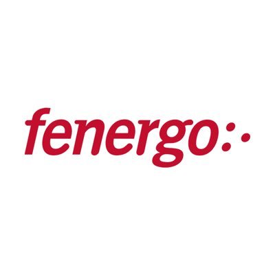 Company logo Fenergo