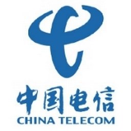 公司标志 China Telecom Global Limited