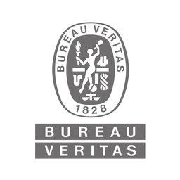 Logo de l'entreprise Bureau Veritas