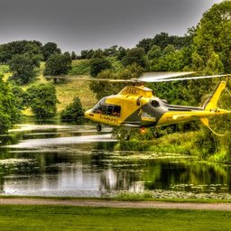 Company logo The Air Ambulance Service