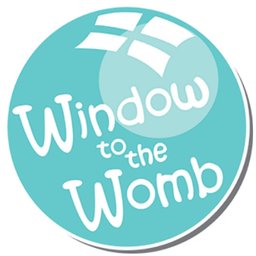 Company logo Window to the Womb