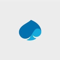 Company logo Capgemini