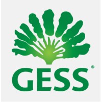 Company logo German European School Singapore