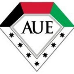 شعار الشركة American University in the Emirates
