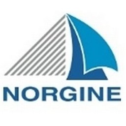 Logotipo de la empresa Norgine