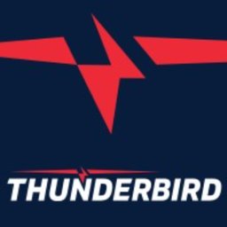 Company logo Thunderbird LLC