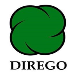 Logotipo de la empresa DIREGO