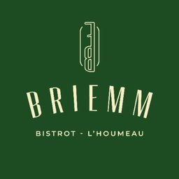 Logo de l'entreprise Briemm