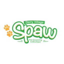 Company logo Derry Village Spaw