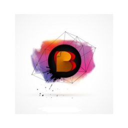 Bragnam Learning Pvt. Ltd. Logo