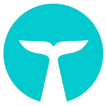 Company logo Whalar