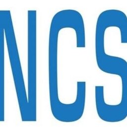 Company logo NCS Support Solutions