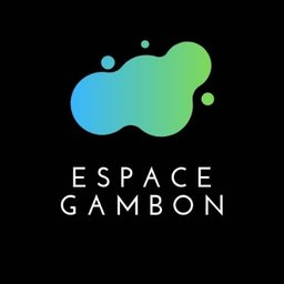 Logo de l'entreprise Espace Gambon Formation