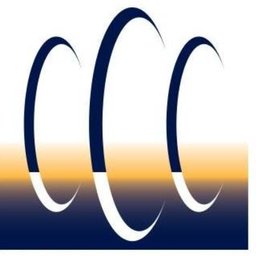 Company logo Cessnock City Council
