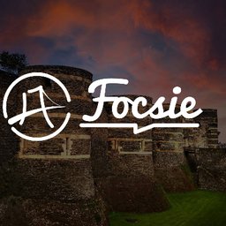 Logo de l'entreprise FOCSIE