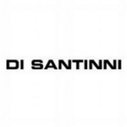 Company logo DI SANTINNI