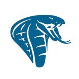 Company logo Cobra Enterprises Ltd.
