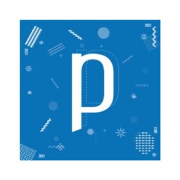 Company logo Paradigma Business Solutions