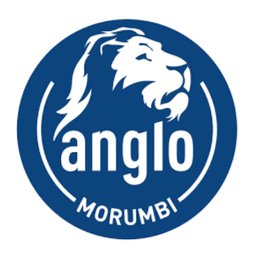 Colégio Anglo Morumbi Logo