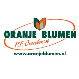Firmenlogo Oranje Blumen
