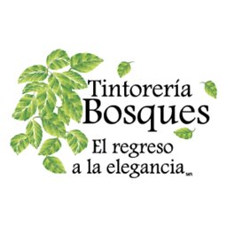 Logotipo de la empresa Tintorería Bosques